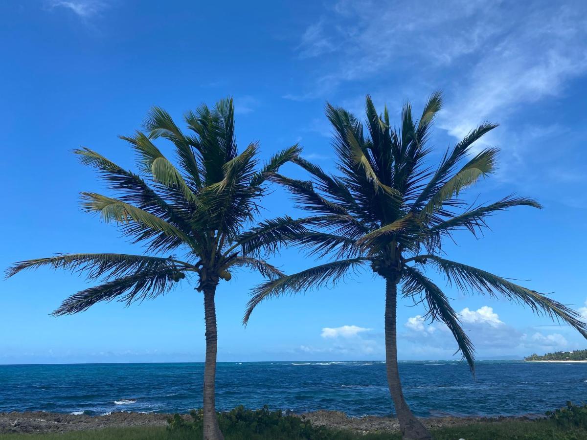 Villa Phare Caraibes Guadeloupe Le Moule Dış mekan fotoğraf